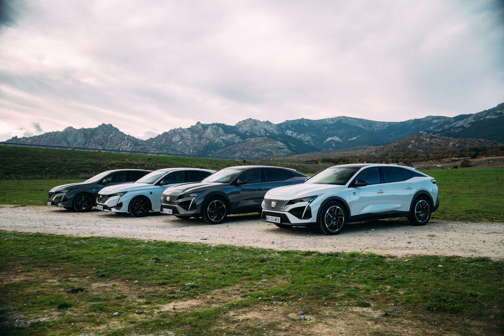 Hasta 8 años o 160.000 kilómetros de Garantía en Peugeot Hasta 8 años o 160.000 kilómetros de Garantía en Peugeot